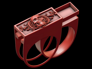 ring with a secret Model Cetak 3D