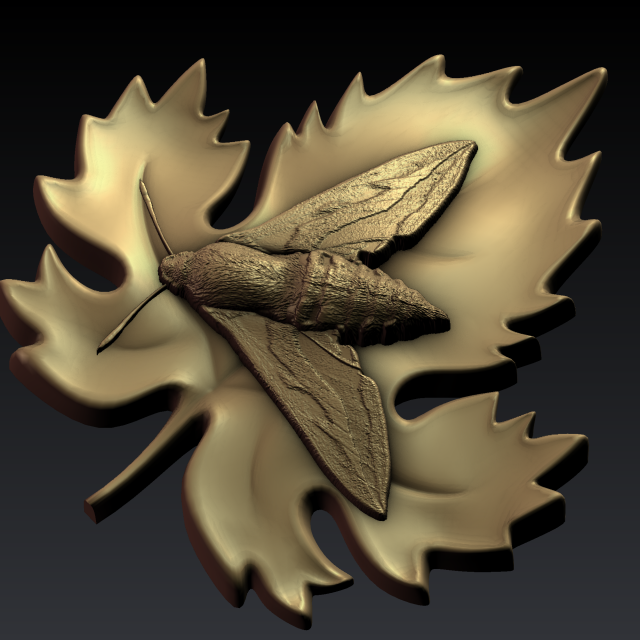 moth 3D Print Model .c4d .max .obj .3ds .fbx .stl .blend 