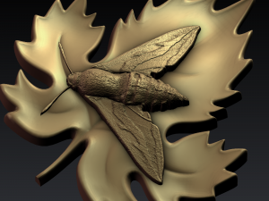 moth 3D Print Model