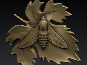 moth 3D Print Model