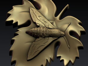 moth 3D Print Model