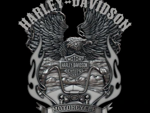 एचडी 2 3D प्रिंट मॉडल