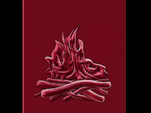 Feuer 3D Druckmodell