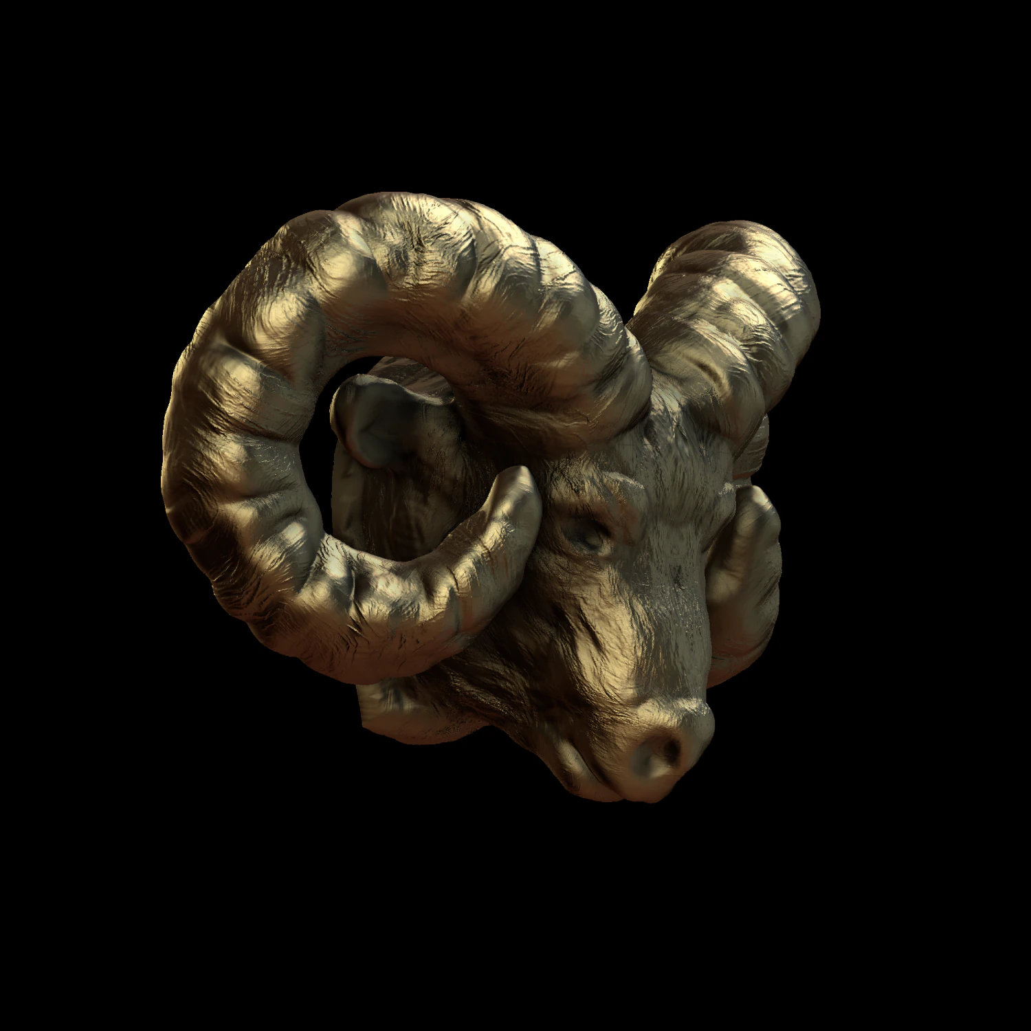 the head of a ram 3D Print Model .c4d .max .obj .3ds .fbx .stl .blend 
