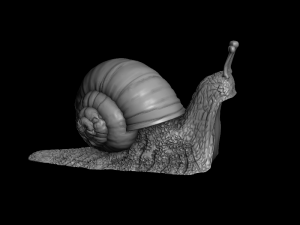 12335 Modèles 3D en vedette