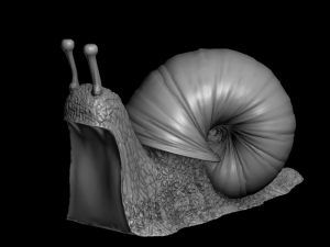 12335 Modèles 3D en vedette