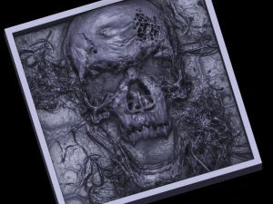 alivio del cráneo Modelo de impresión 3D