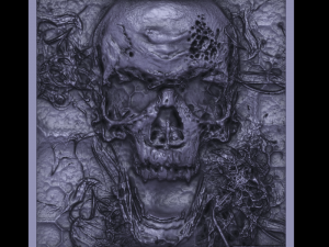 scull relief 3D-Druckmodell