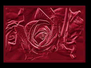 roza relief Modèles 3D en vedette