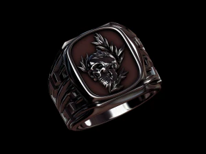 ring 1 3D Print Model