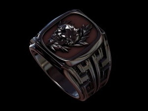 ring 1 3D Print Model