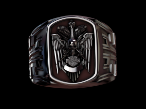 ring 2 Modelo de Impressão 3D