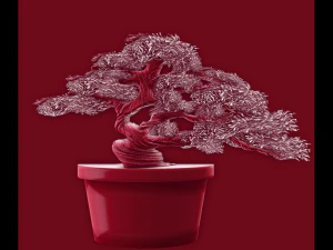 relief 3D Print Model