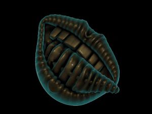relief 3D Print Model