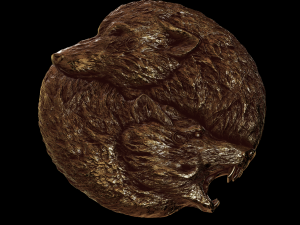 relief volf 3D 打印模型