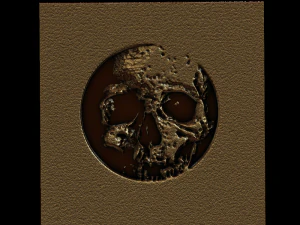 안도 3D 프린트 모델