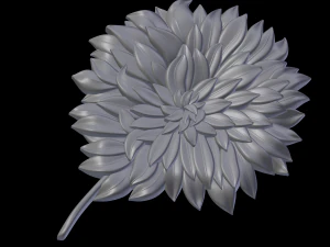 relief 3D Print Model