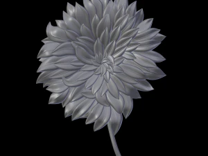 relief 3D Print Model