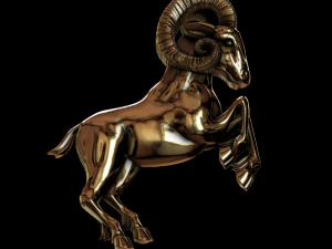 relief 3D Print Model