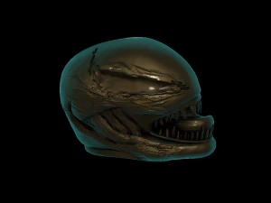 relief 3D Print Model