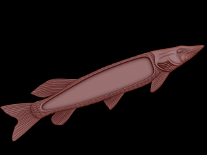 relief 3D Print Model