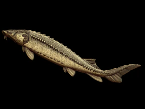 sollievo Modello di stampa 3D