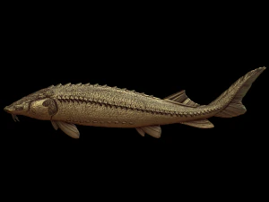 sollievo Modello di stampa 3D