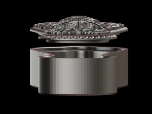 relief 3D Print Model