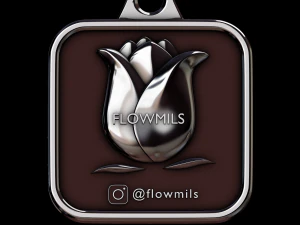 relief 3D Print Model