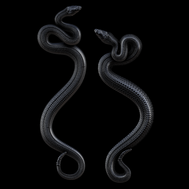 relief Model Cetak 3D .c4d .max .obj .3ds .fbx .stl .blend 