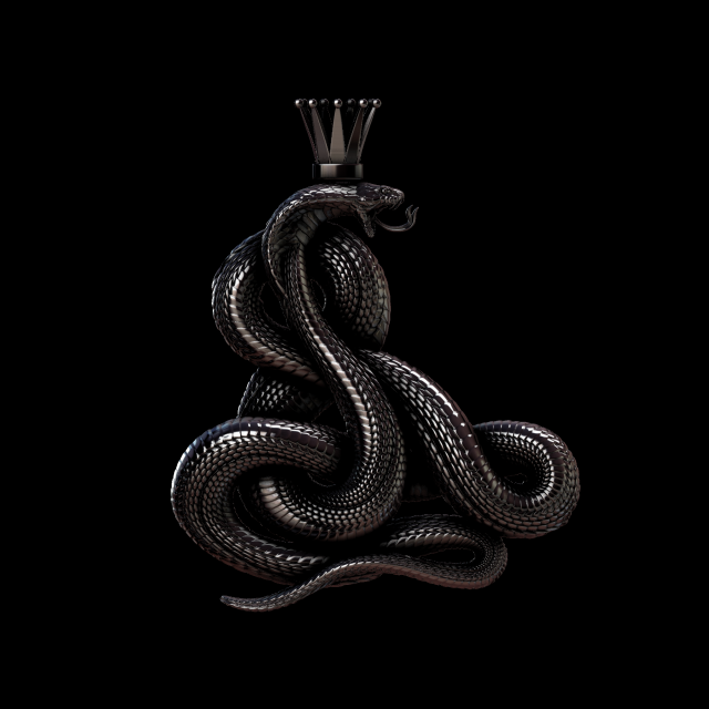 relief Model do druku 3D .c4d .max .obj .3ds .fbx .stl .blend 