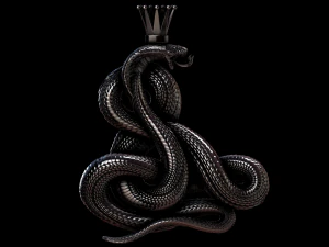 relief 3D Print Model