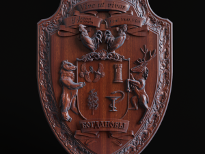 relief 3D Print Model