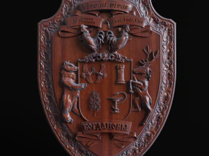 安心 3Dプリントモデル