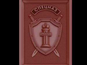 relief 3D Print Model