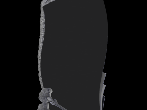 Relief 3D 打印模型