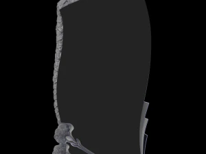 Relief 3D Print Model