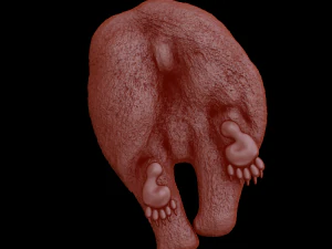 Relief 3D Print Model