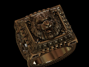 Relief 3D Druckmodell