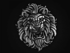 Relief Modèles 3D en vedette