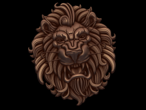Relief Modèles 3D en vedette