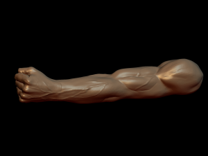 Relief 3D-printmodel