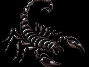 Relief 3D Print Model