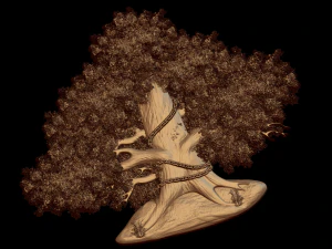 Relief Modèles 3D en vedette