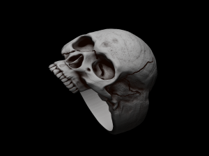 Relief 3D प्रिंट मॉडल