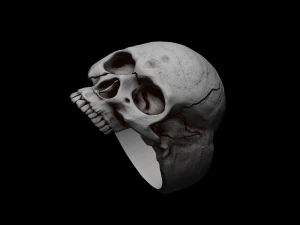 Relief 3D Print Model