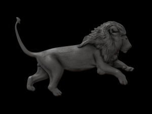 Relief Modèles 3D en vedette