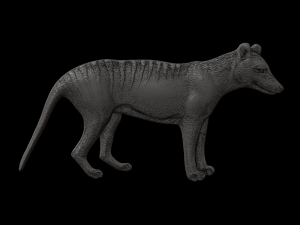 Relief 3D Print Model