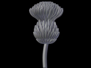 宽慰 3D 打印模型