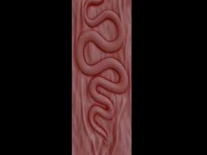 Relief 3D Print Model